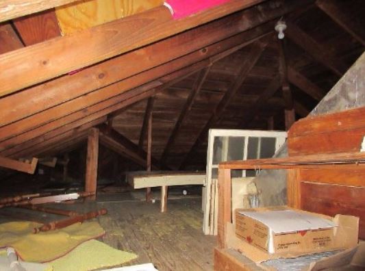 a picture of a attic space infested with pests in berkeley, ca